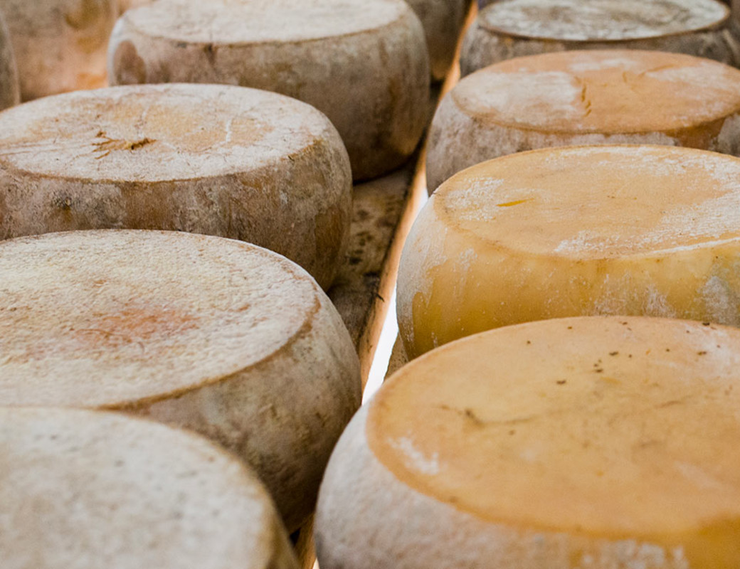 Pecorino sardo (ph. Dario Garofalo)