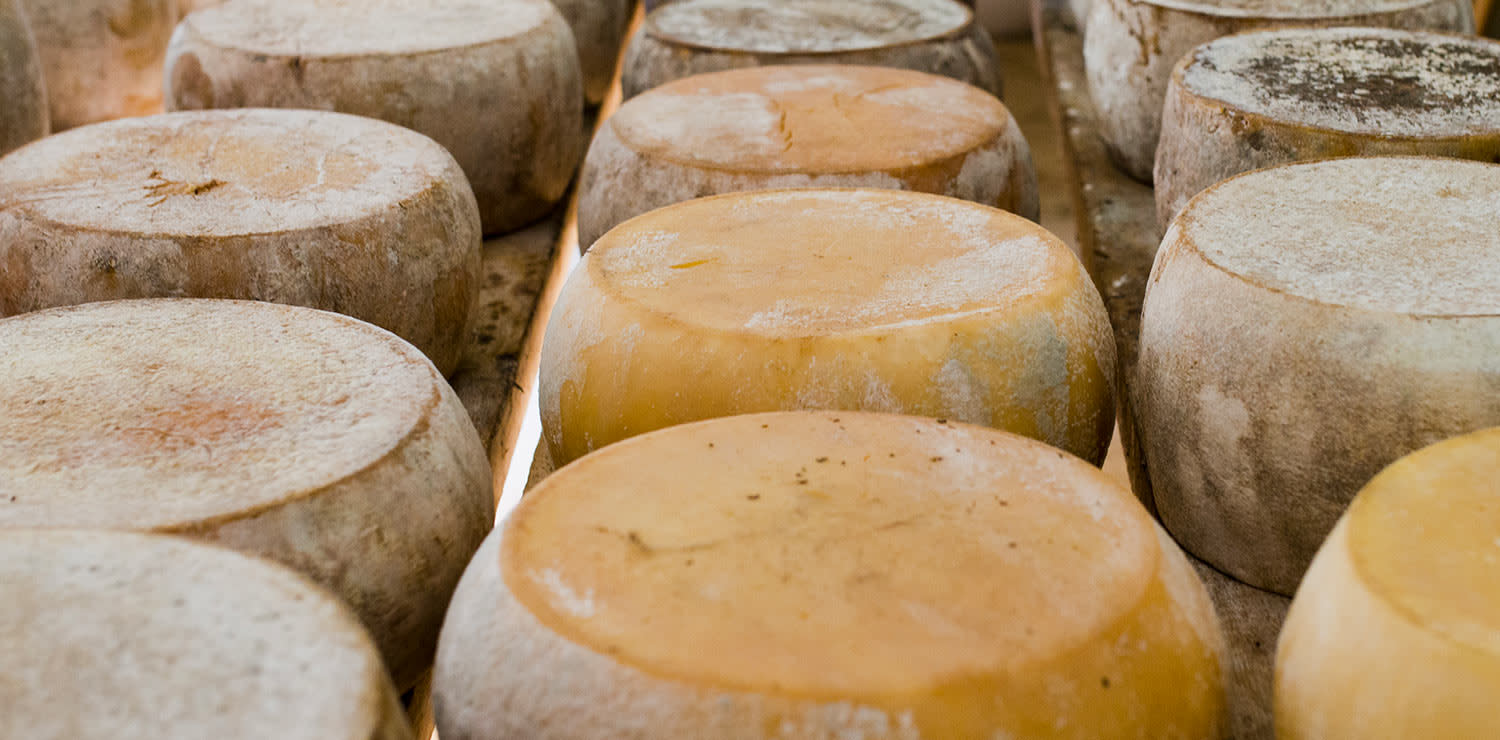 Pecorino sardo (ph. Dario Garofalo)