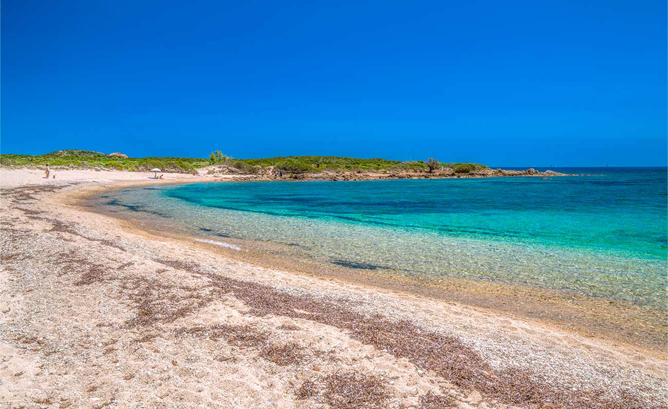 Cala Razza di Juncu, la spiaggia per gli amici a quattro zampe