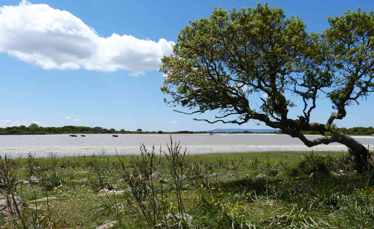 Alla scoperta del Parco della Giara