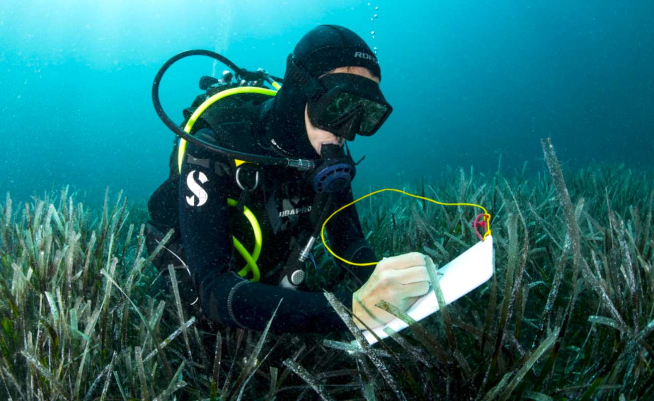 I cittadini sposano la ricerca scientifica