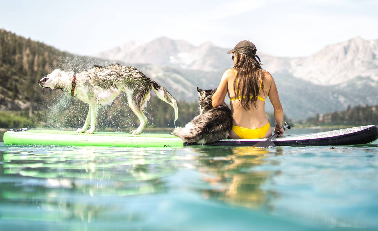 Sup, lo sport acquatico per tutti