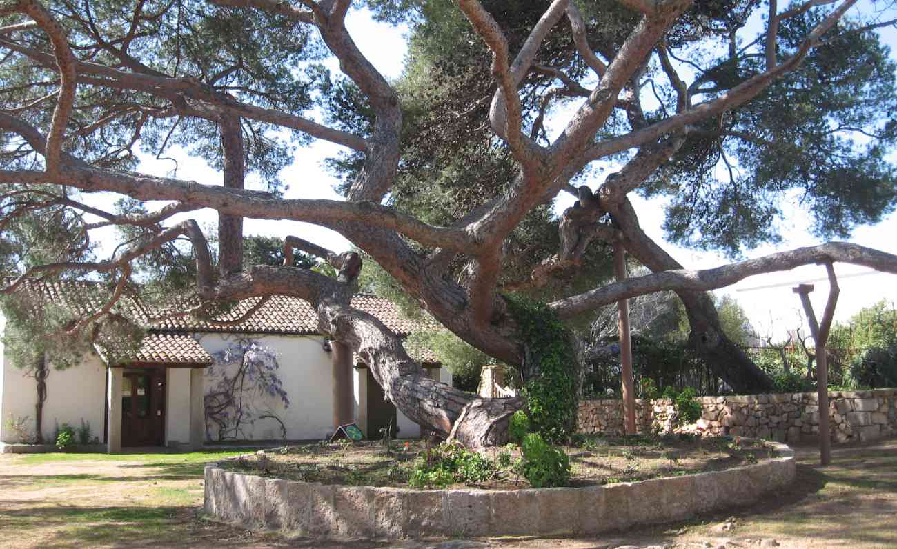 Garden Route Italia, tra i 200 giardini il Compendio Garibaldino