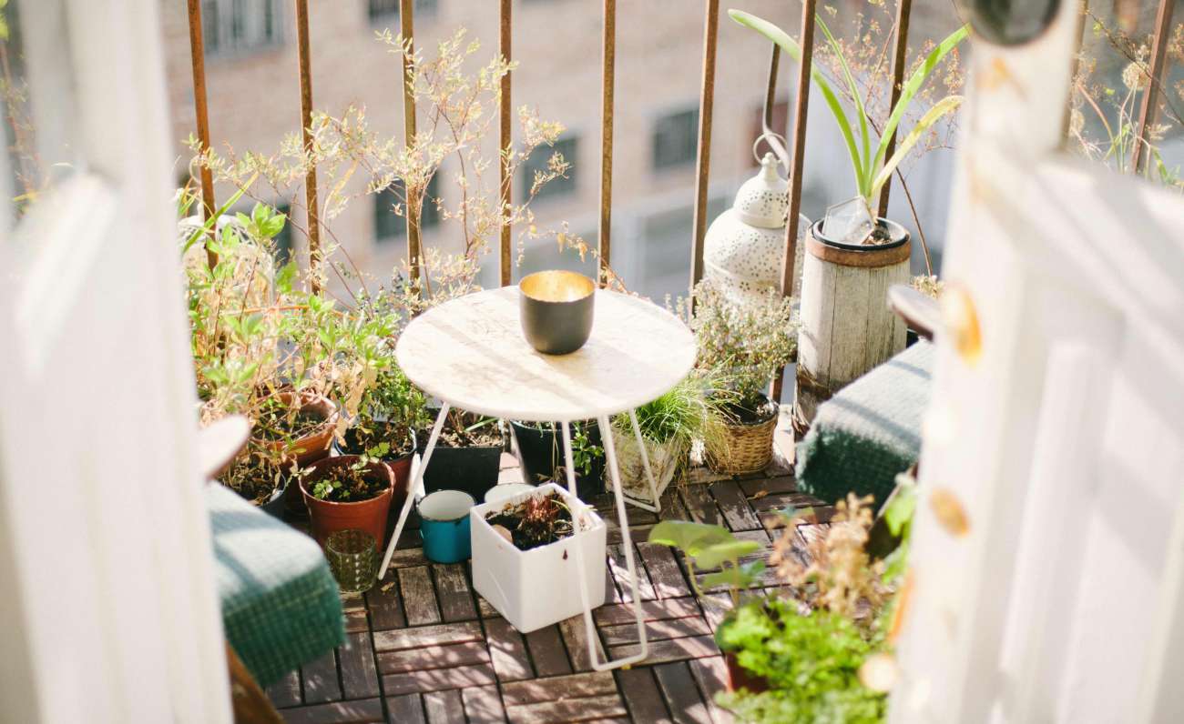 Giardinaggio in balcone, ecco alcuni consigli