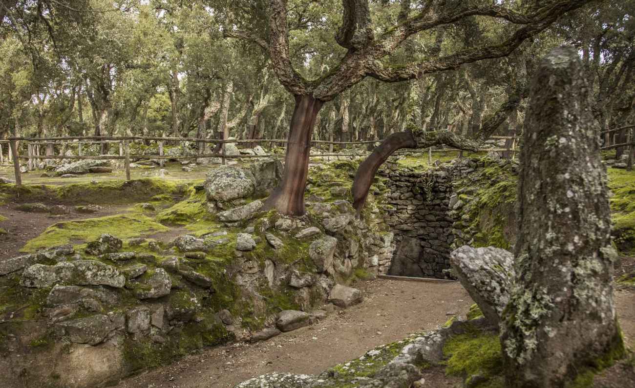 Il Complesso Nuragico Romanzesu a Sa Serra