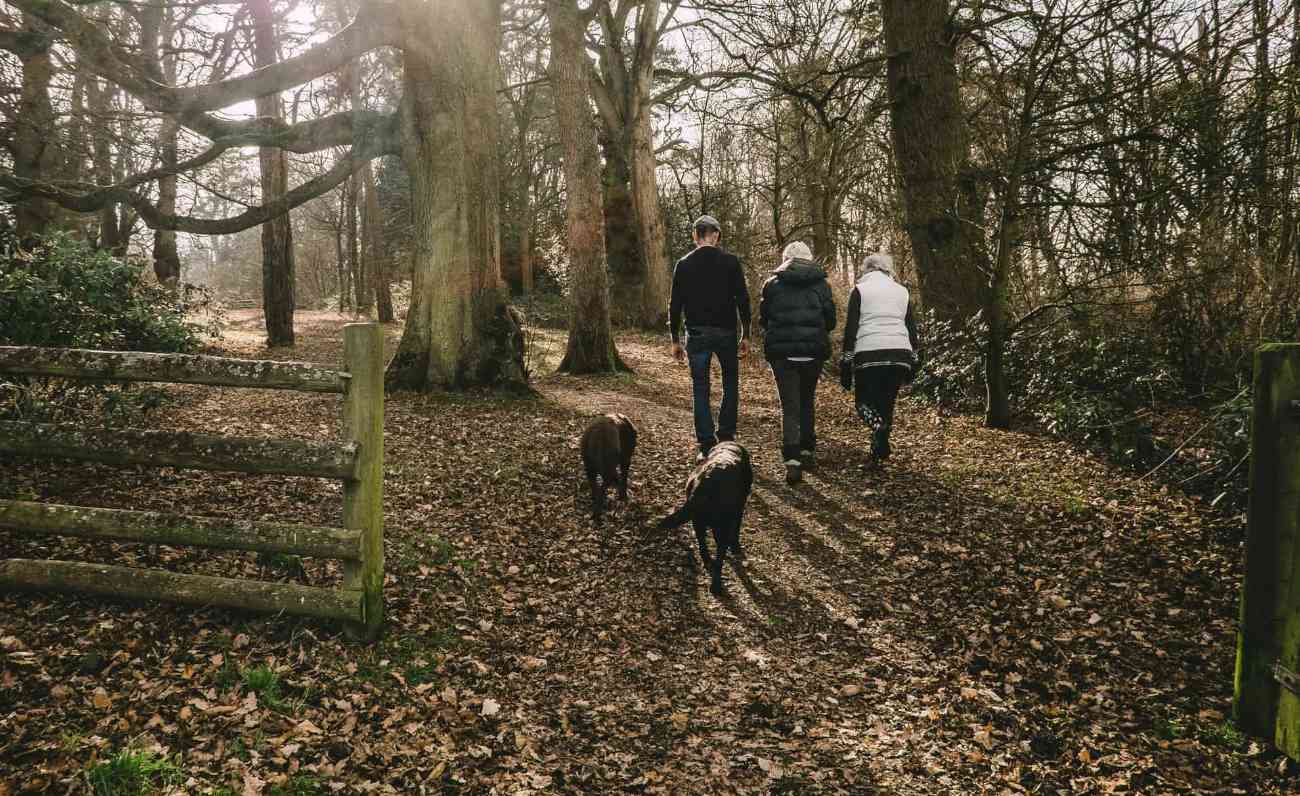 In Sardegna con Fido: i percorsi più belli