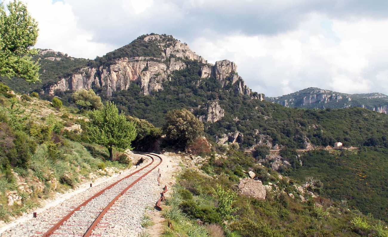 Montarbu, la foresta magica nell’Ogliastra