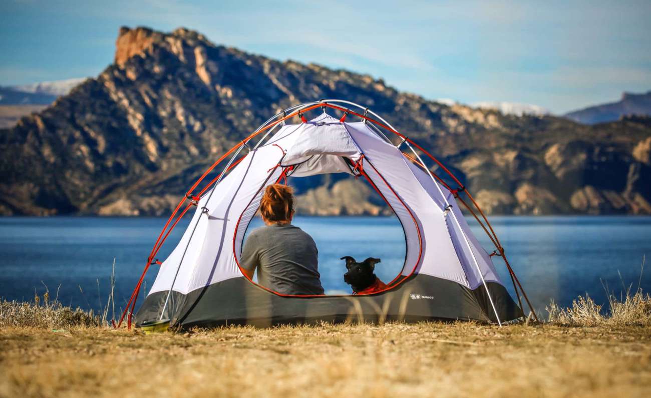 Dog trekking, perché farlo e come