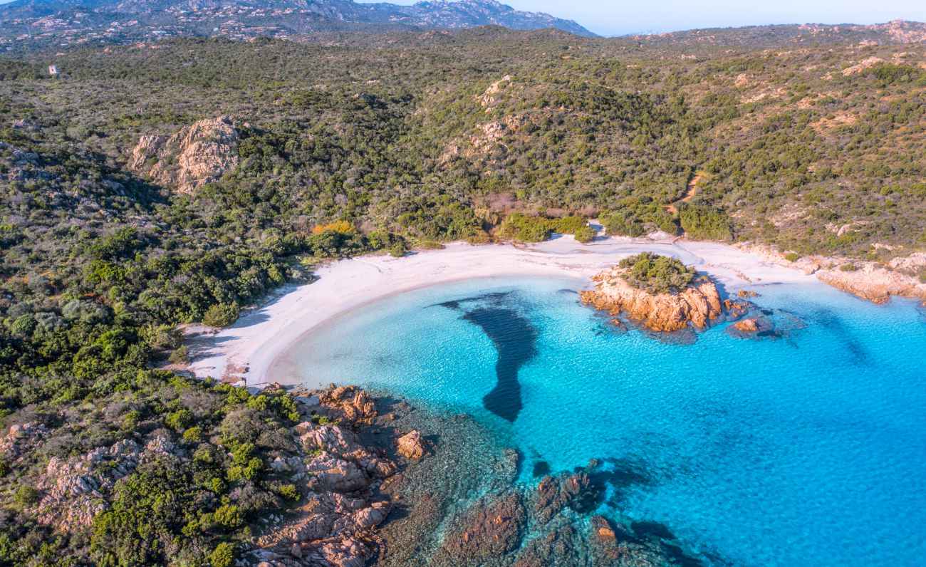 La flora e la fauna nel paradiso della Costa Smeralda