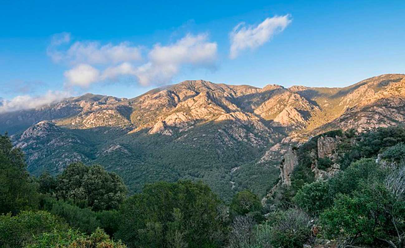 Monte Linas: bellezza incontaminata