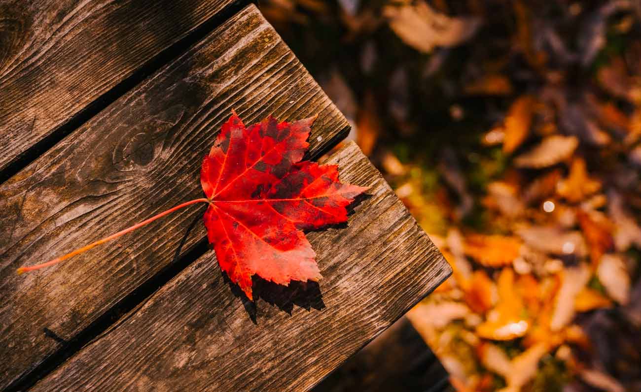 Il capodanno sardo che cadeva a settembre