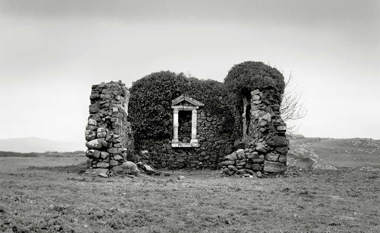 TEMPLES, le sfumature che non sospetti