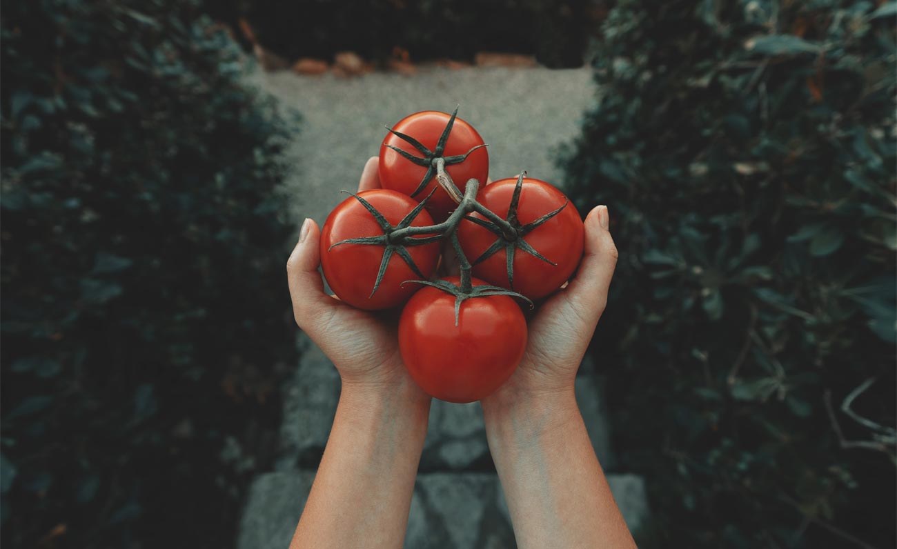 Pula, un marchio per la tutela gastronomica dei fichi e pomodori