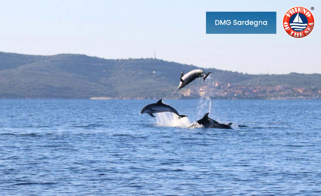 DMG Sardegna riceve il Sustainable Dolphin and Whale Watching