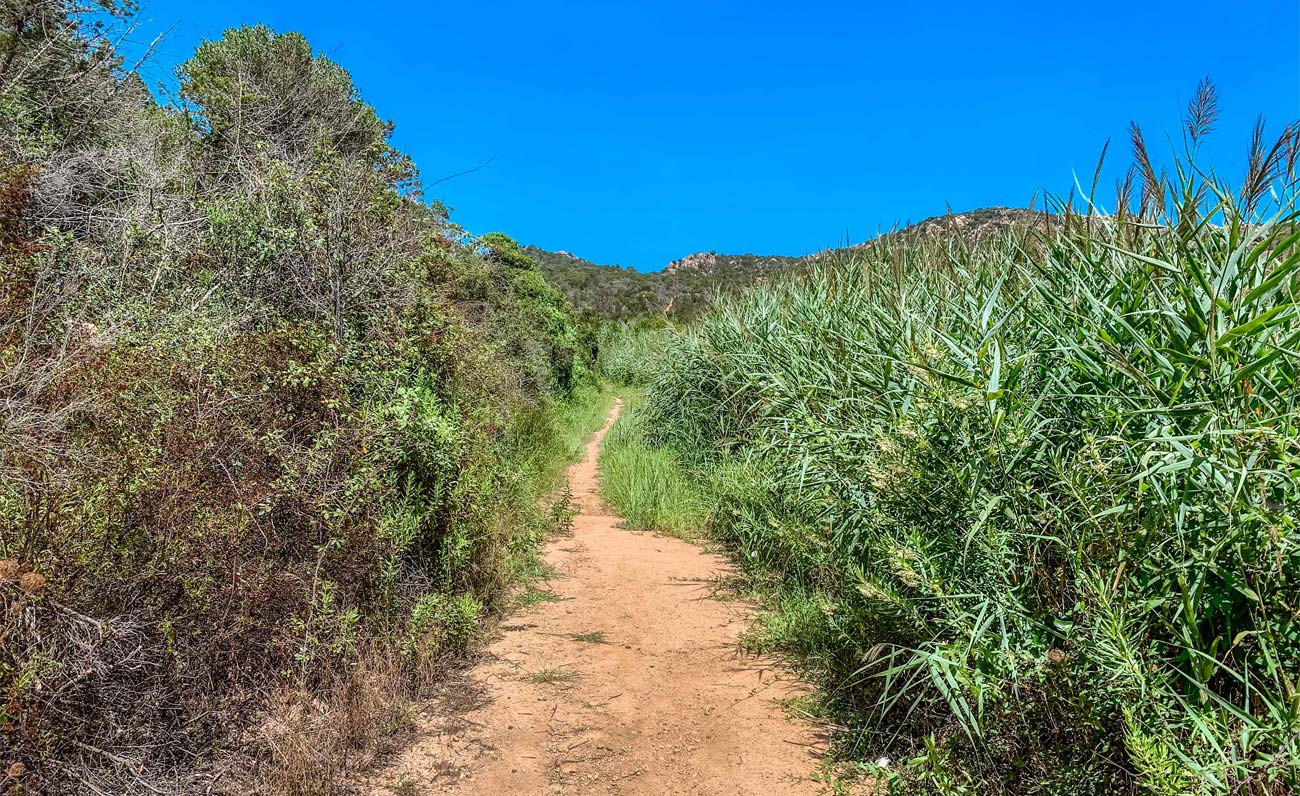 Pevero Health Trail: il sentiero trekking della salute