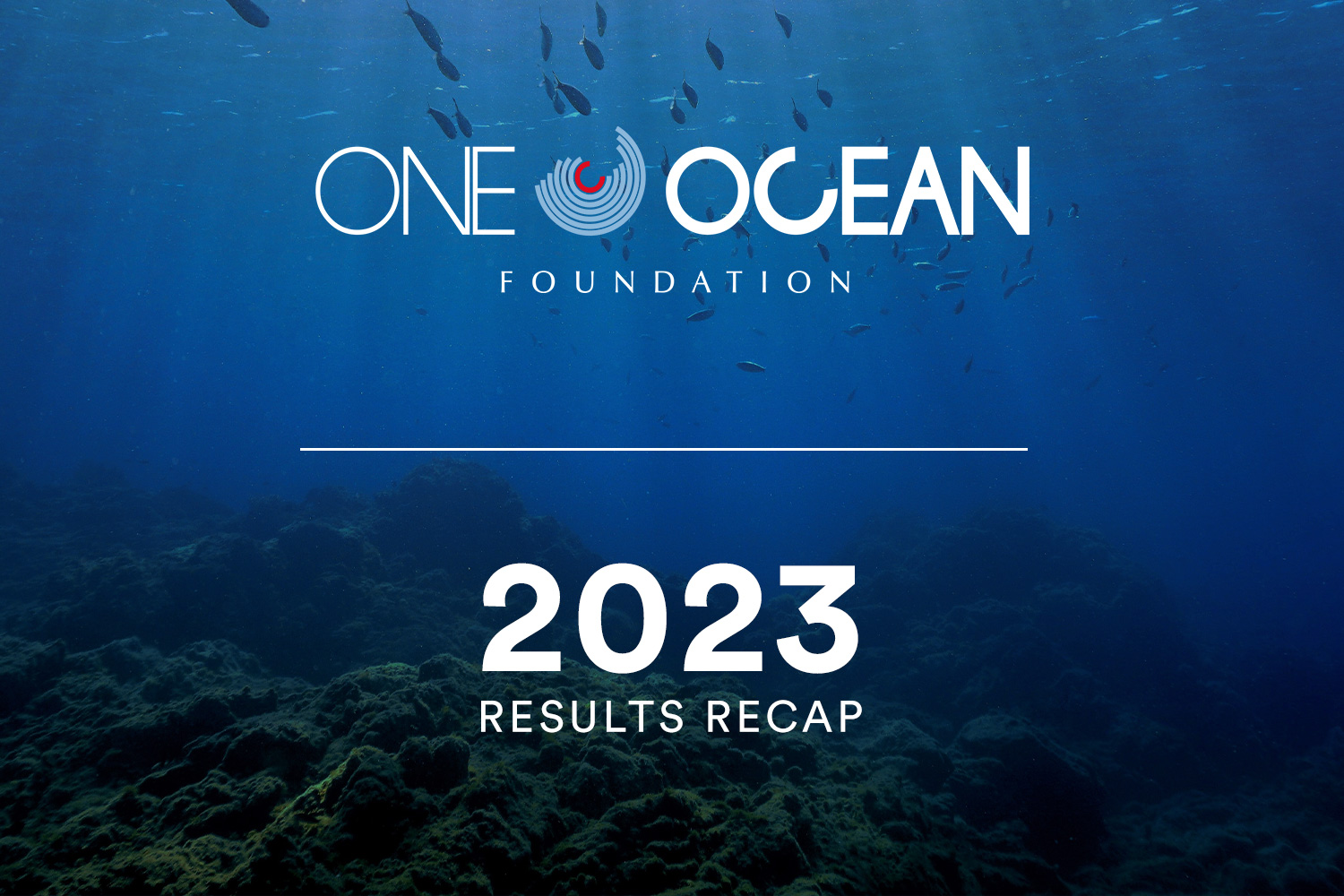 2023: un anno di impatto per One Ocean Foundation