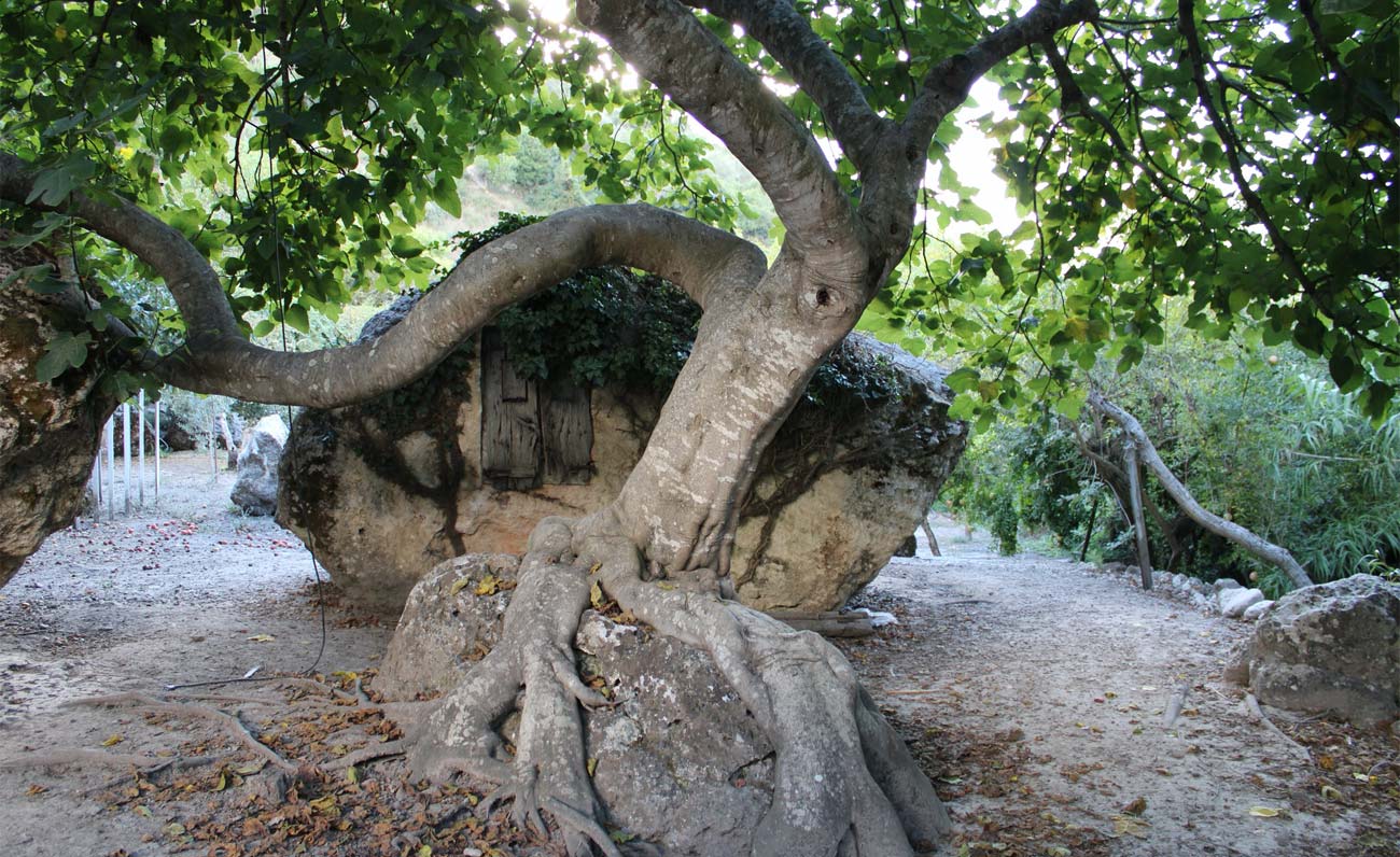 Molineddu, il Parco delle arti immerso nella natura