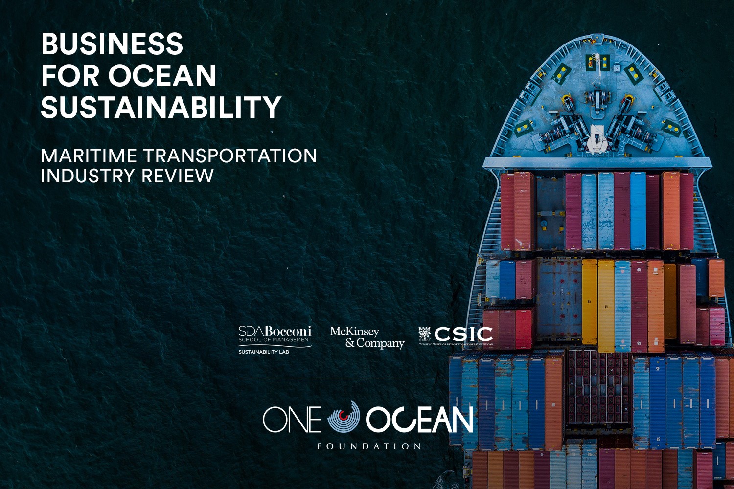 L\'impatto del trasporto marittimo sull\'oceano: analisi e soluzioni